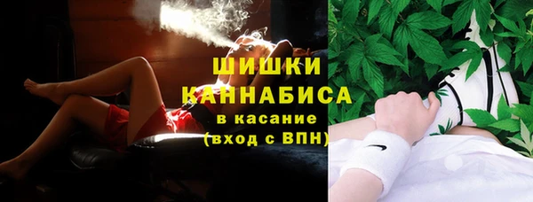 амф Богородицк