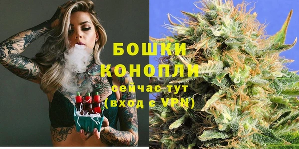 амф Богородицк
