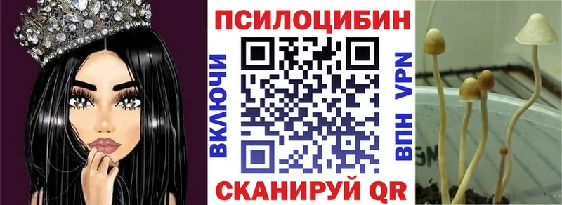 закладка  Юрюзань  блэк спрут рабочий сайт  Псилоцибиновые грибы Psilocybe 